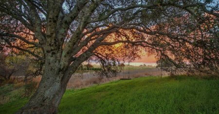 Angels Camp RV Park RV park in Powderly, TX (photo 3)