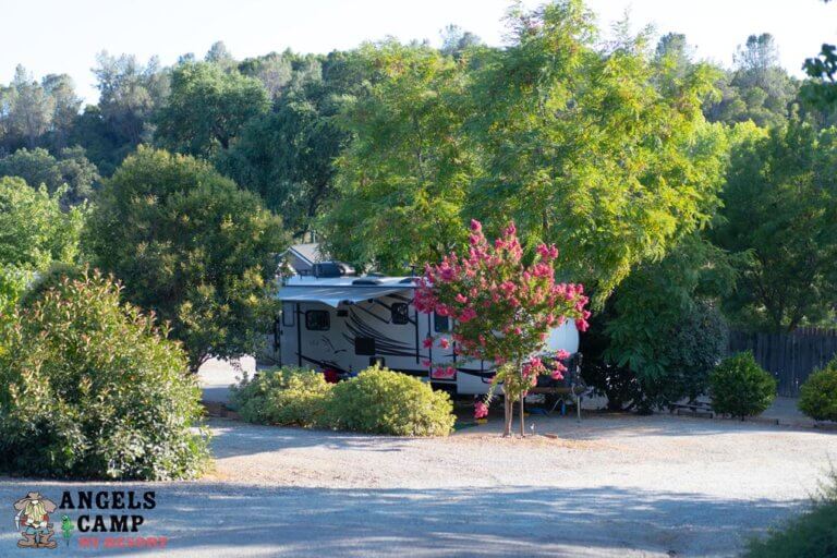 Can you spot it? Angels Camp RV Resort